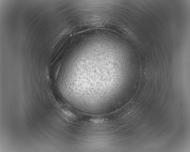 X0000055990693200509092020