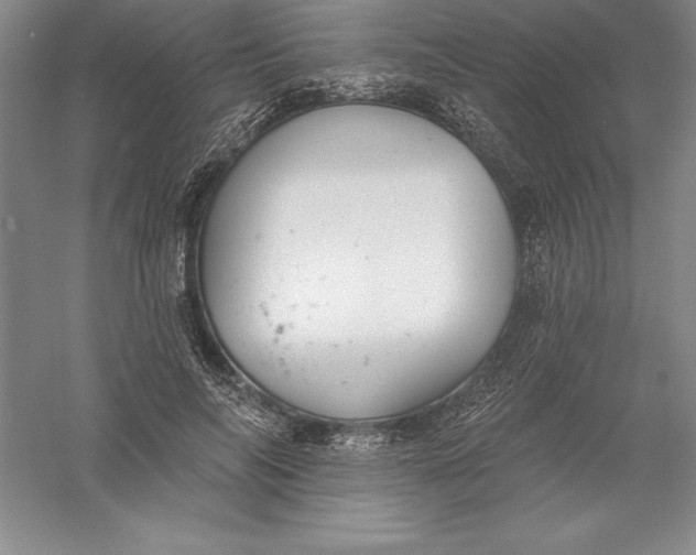 X0000055990694200509092020