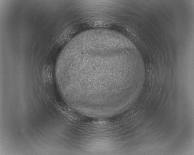 X0000055990695200509092020