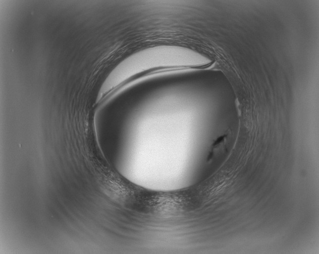 X0000055990697200509092020