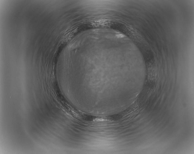 X0000055990699200509092020