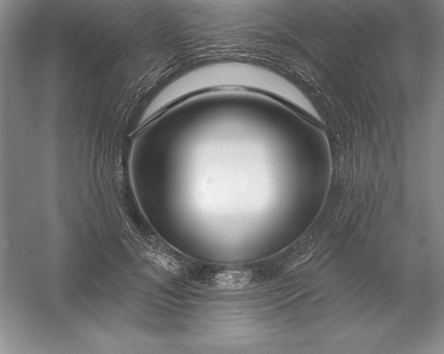 X0000055990700200509092020