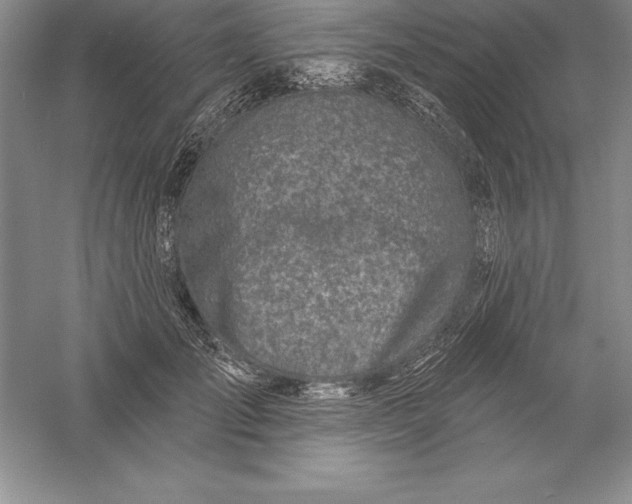 X0000055990701200509092020