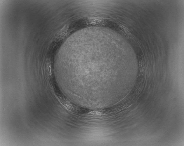 X0000055990703200509092020