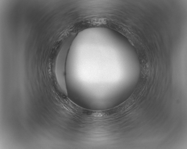 X0000055990704200509092020