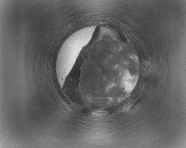 X0000055990707200509092020