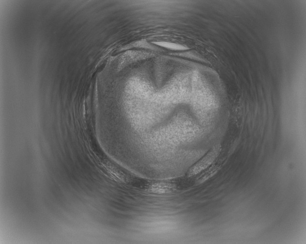 X0000055990708200509092019