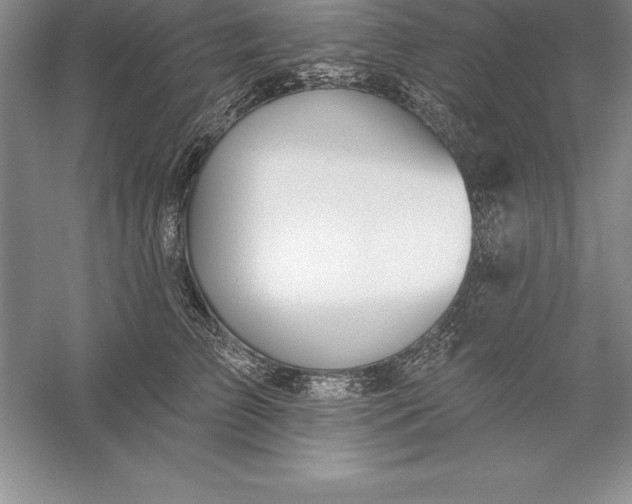 X0000055990709200509092019