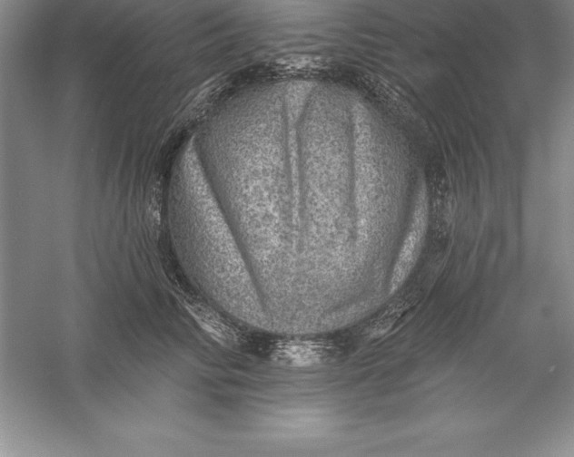 X0000055990710200509092019