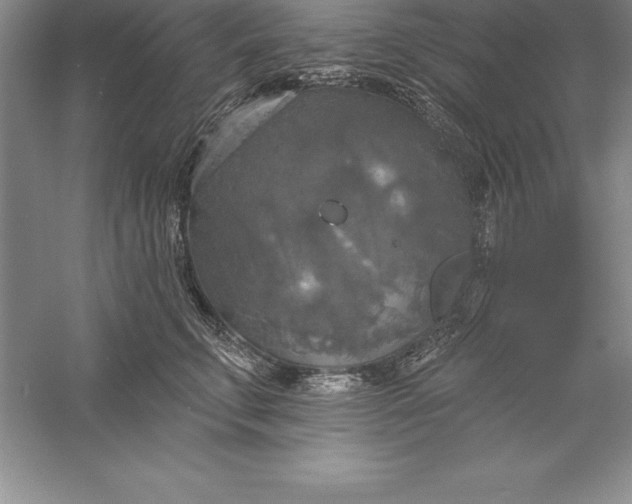 X0000055990711200509092019