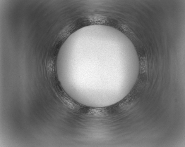 X0000055990713200509092019