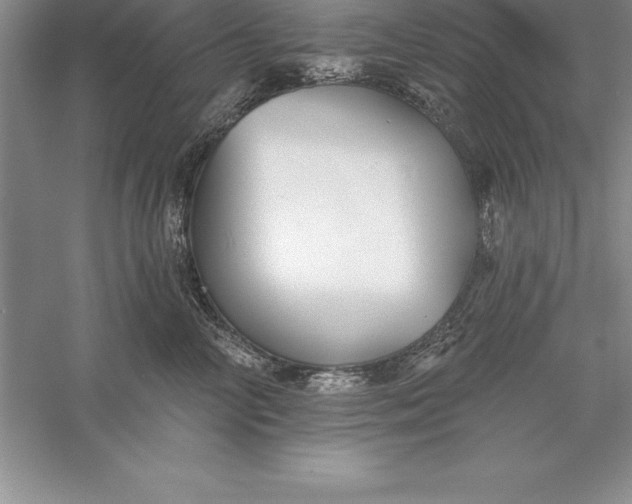 X0000055990714200509092019