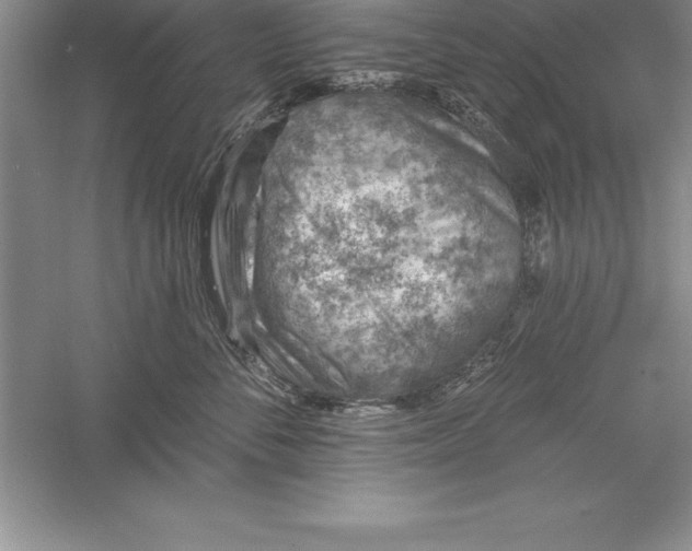 X0000055990716200509092019