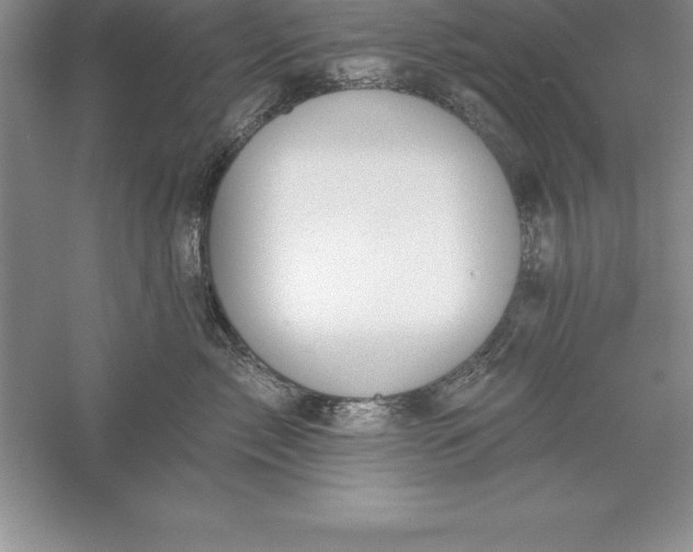 X0000055990717200509092019