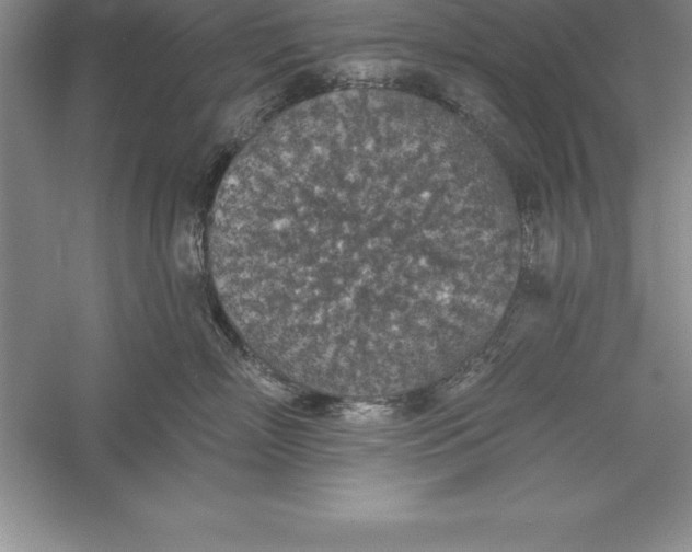 X0000055990718200509092019