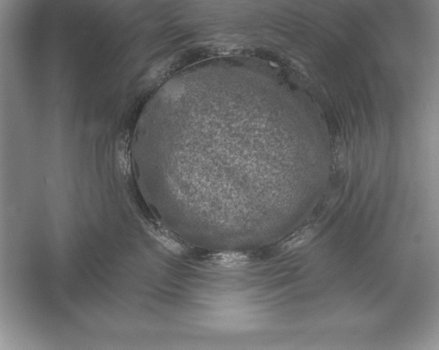 X0000055990719200509092019