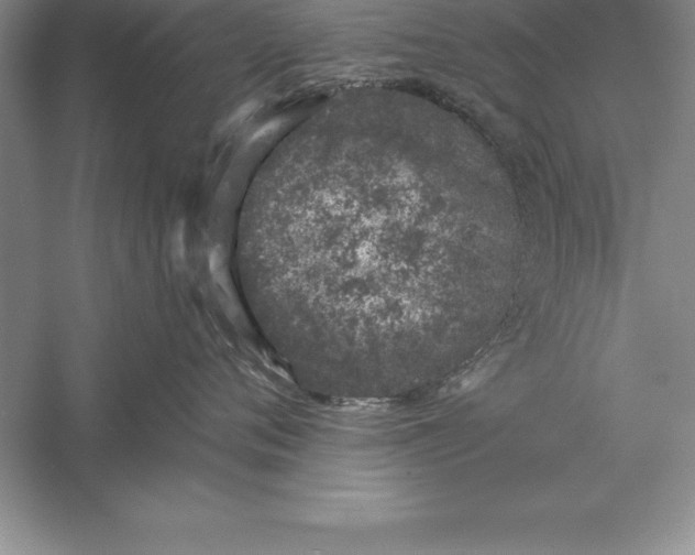 X0000055990720200509092019