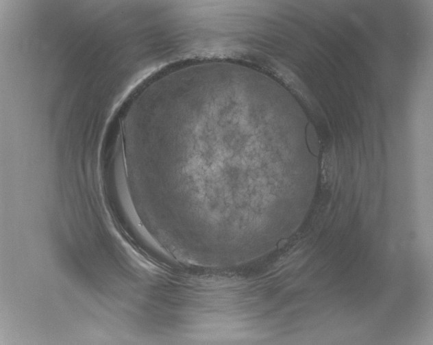 X0000055990722200509092018