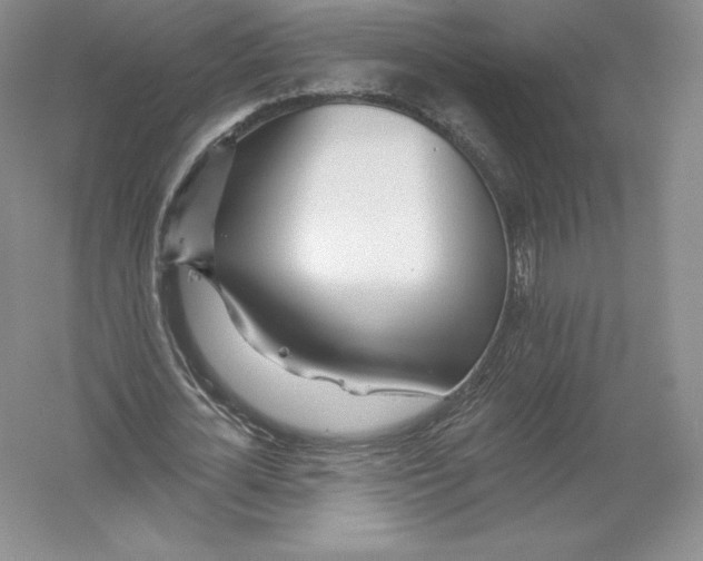 X0000055990724200509092019