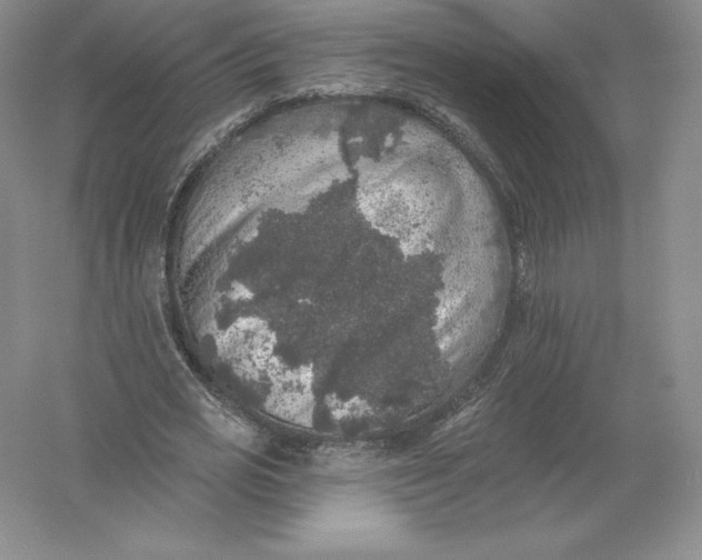 X0000055990725200509092019