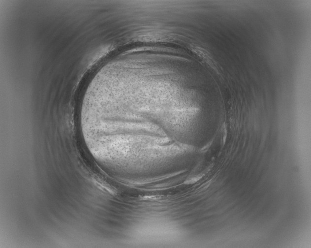 X0000055990727200509092019