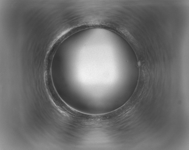 X0000055990728200509092019