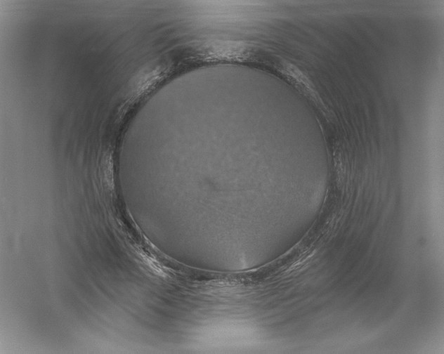 X0000055990729200509092019