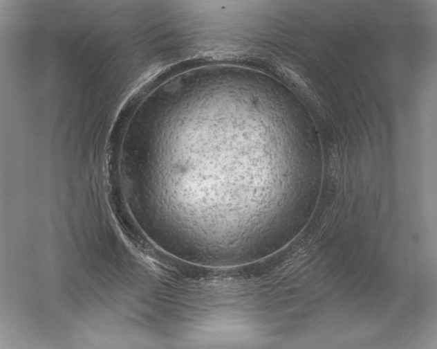 X0000055990730200509092019