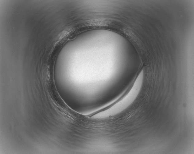 X0000055990731200509092019