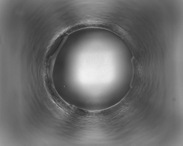 X0000055990732200509092019