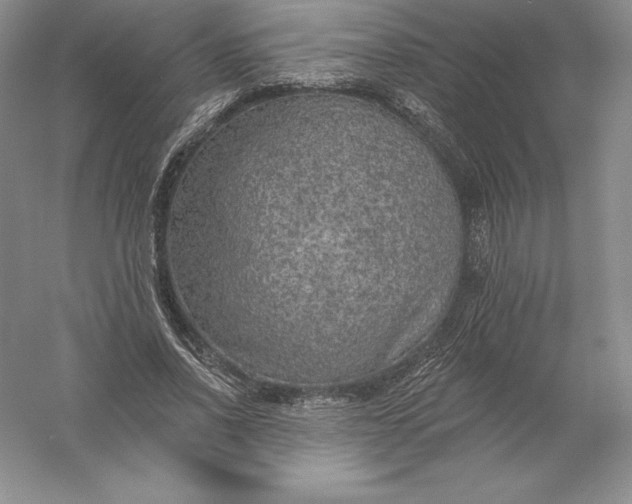 X0000055990734200509092019