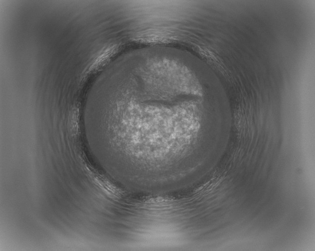 X0000055990735200509092019