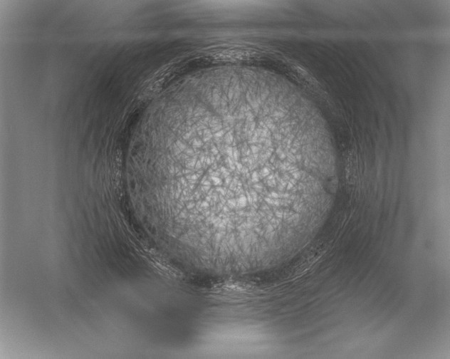 X0000055990737200509092019