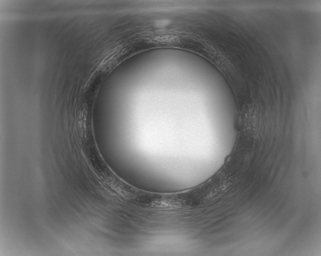 X0000055990739200509092019