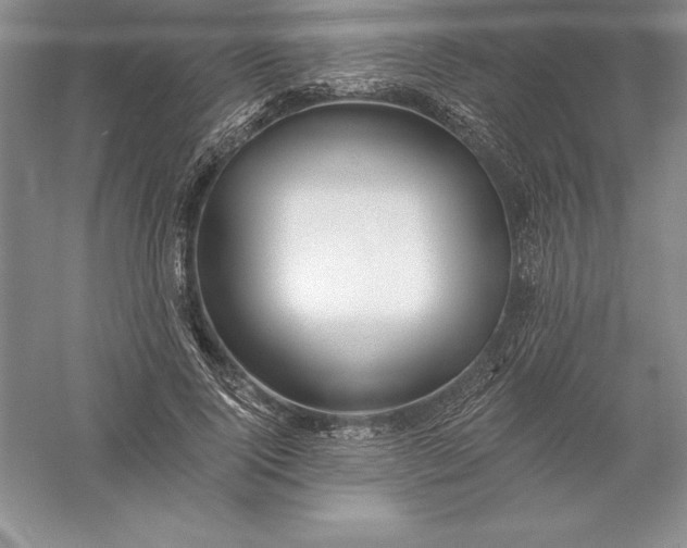 X0000055990740200509092019