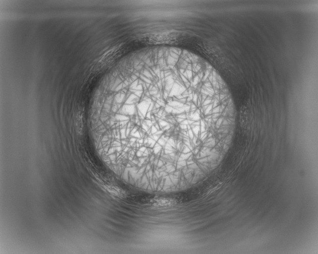 X0000055990741200509092019