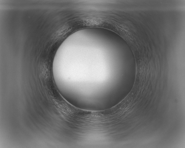 X0000055990743200509092019