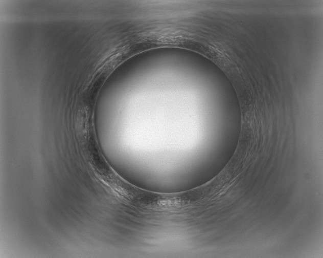 X0000055990744200509092019