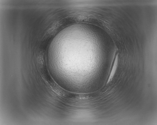 X0000055990746200509092019