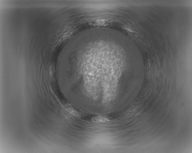 X0000055990747200509092019