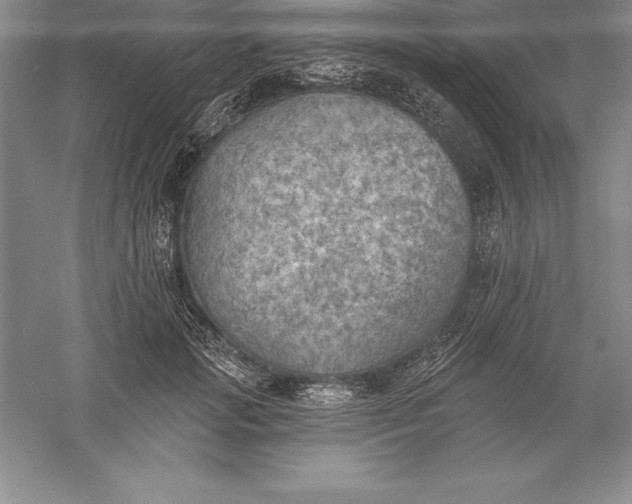 X0000055990749200509092019