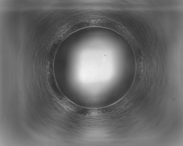 X0000055990750200509092019