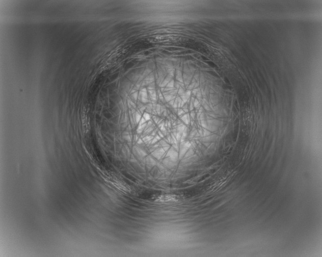 X0000055990751200509092019