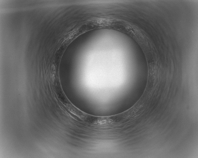 X0000055990752200509092019