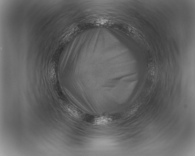 X0000055990754200509092019