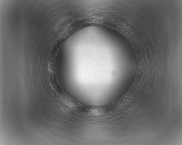 X0000055990755200509092019