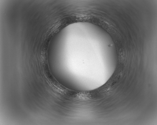 X0000055990756200509092019