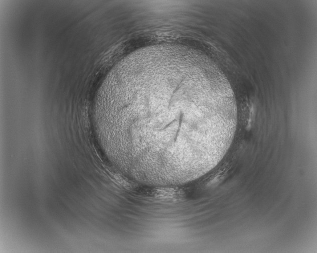 X0000055990757200509092019