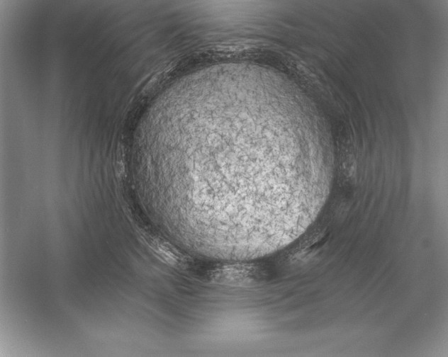 X0000055990758200509092019