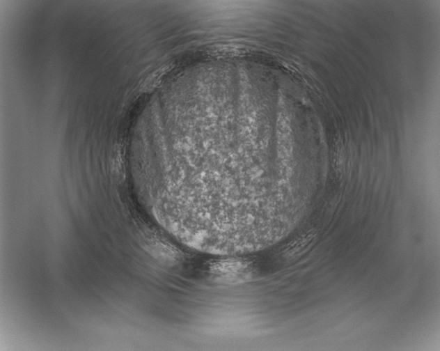 X0000055990759200509092019